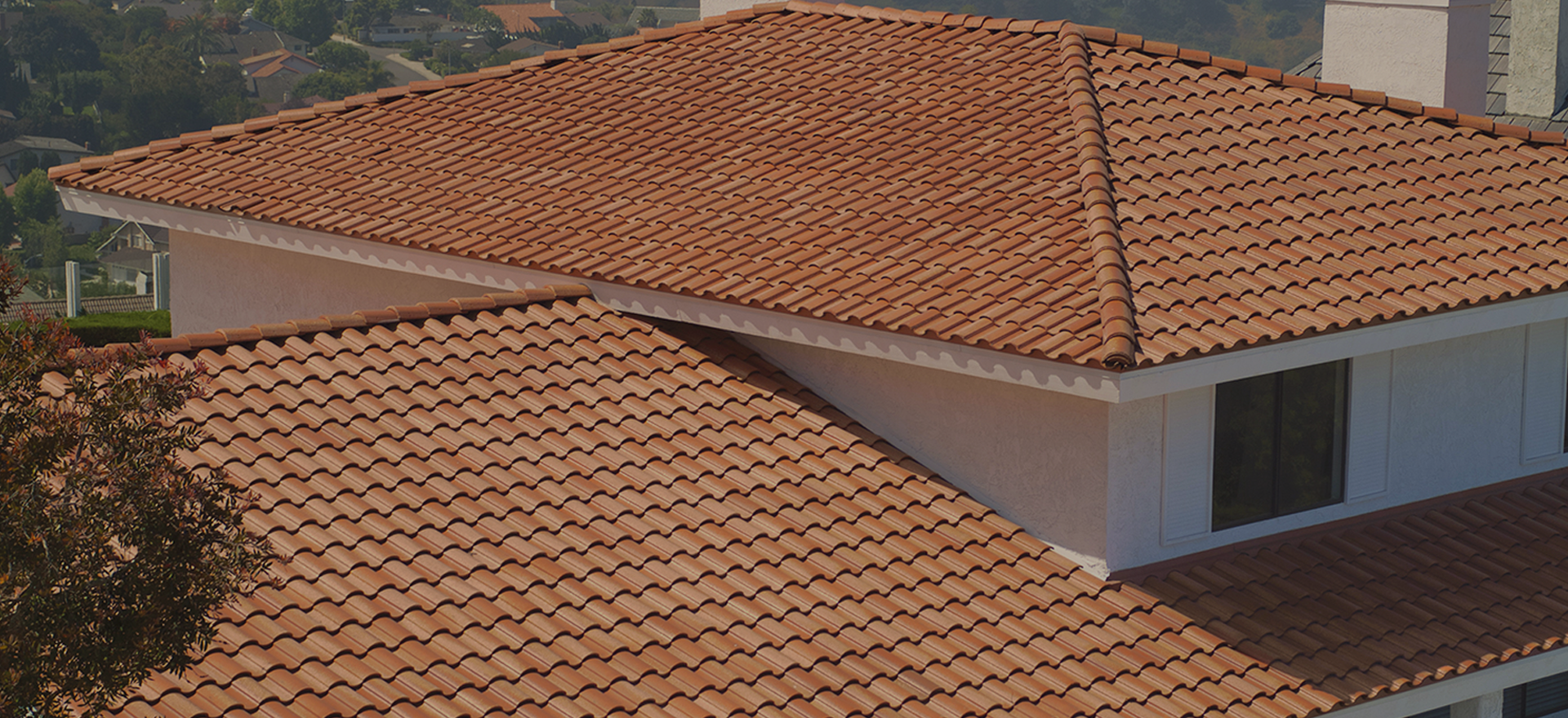 roof tile cleaning