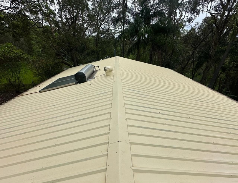 roof cleaning content img